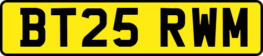 BT25RWM
