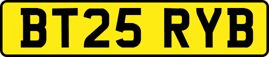 BT25RYB