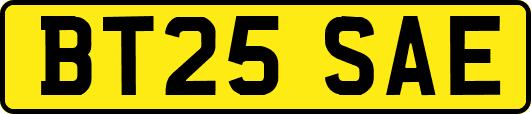 BT25SAE