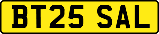 BT25SAL
