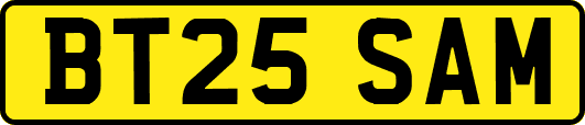 BT25SAM