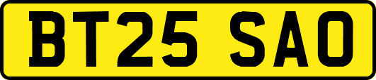 BT25SAO