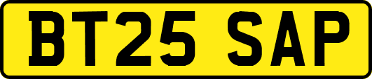 BT25SAP