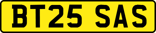 BT25SAS