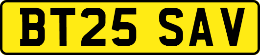 BT25SAV