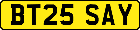 BT25SAY
