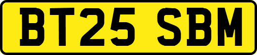 BT25SBM
