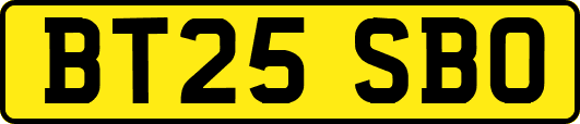 BT25SBO