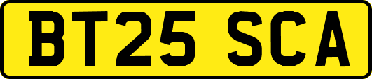 BT25SCA