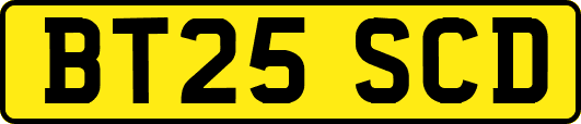 BT25SCD