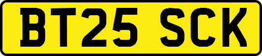 BT25SCK