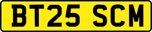BT25SCM