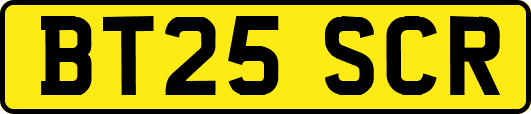 BT25SCR