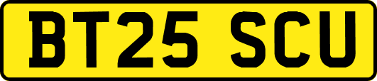 BT25SCU