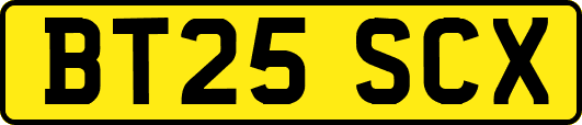 BT25SCX