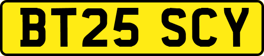 BT25SCY