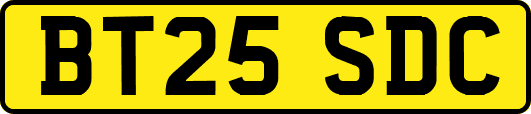 BT25SDC