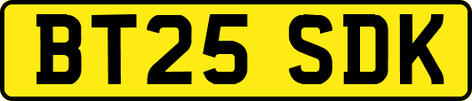 BT25SDK
