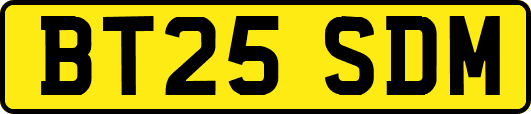 BT25SDM