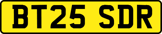 BT25SDR