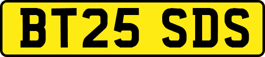 BT25SDS