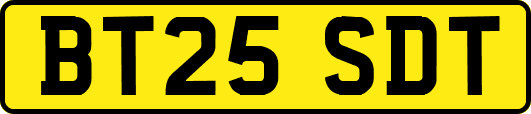 BT25SDT