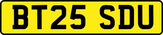 BT25SDU