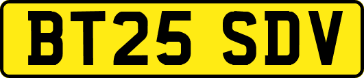 BT25SDV