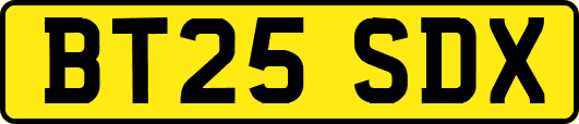 BT25SDX