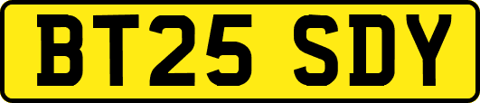 BT25SDY