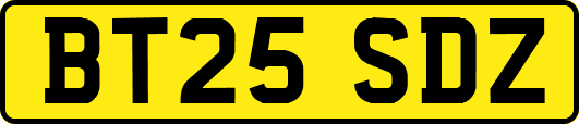 BT25SDZ