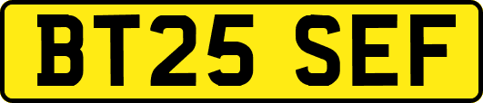 BT25SEF