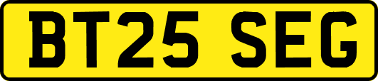 BT25SEG