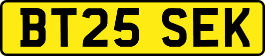 BT25SEK