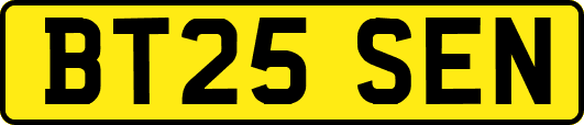 BT25SEN