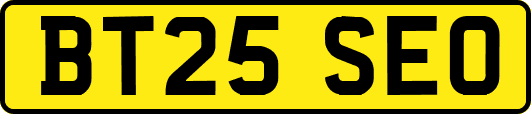 BT25SEO