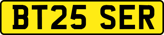 BT25SER