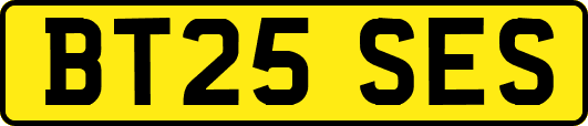 BT25SES