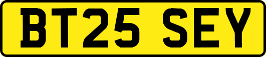 BT25SEY