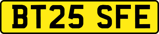 BT25SFE