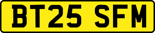 BT25SFM