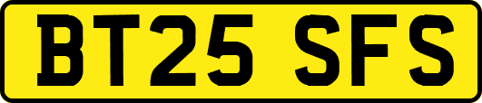 BT25SFS