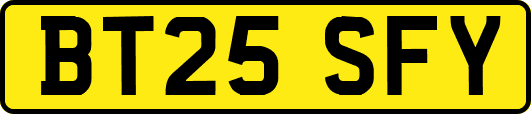 BT25SFY
