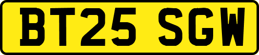 BT25SGW