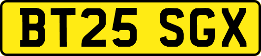 BT25SGX