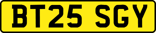 BT25SGY