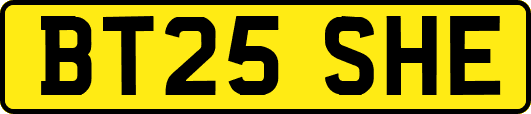 BT25SHE