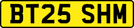 BT25SHM