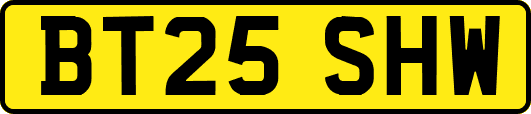 BT25SHW