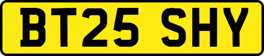 BT25SHY